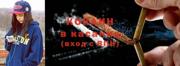 индика Арсеньев