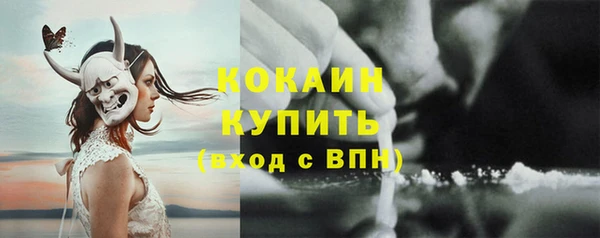 индика Арсеньев