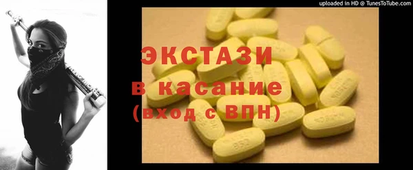 индика Арсеньев