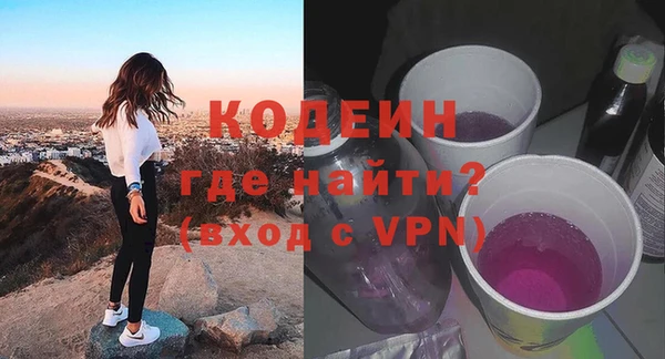 индика Арсеньев