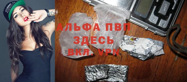 индика Арсеньев
