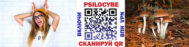 Галлюциногенные грибы прущие грибы  Пыть-Ях 